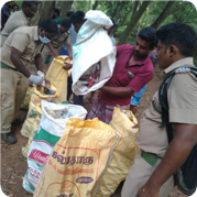 SAADOW environmental activity