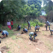 Sustainable green livelihoods